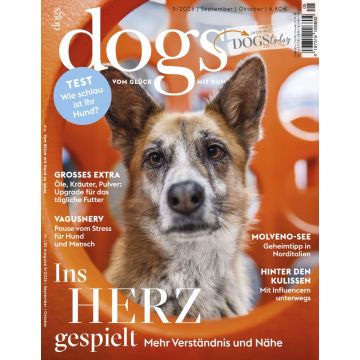 Dogs 5/2026