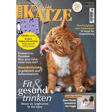 Geliebte Katze 11/2025