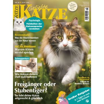 Geliebte Katze 6/2026