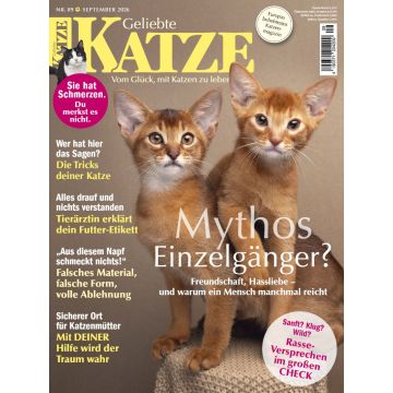 Geliebte Katze 9/2026