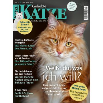 Geliebte Katze 10/2026