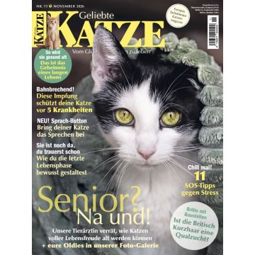Geliebte Katze 11/2026