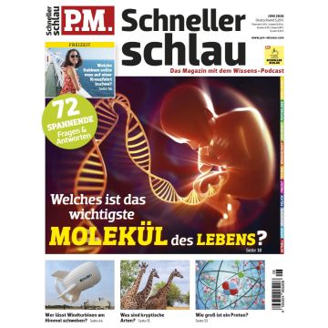 PM Schneller Schlau 6/2026