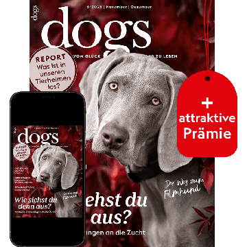 Dogs Vorteilsabo „Plus“ mit Prämie