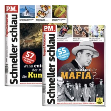 P.M. Schneller Schlau-Bestseller „Kunst“ & „Mafia“