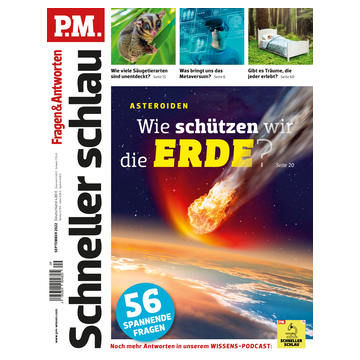 PM Schneller Schlau 2022/9