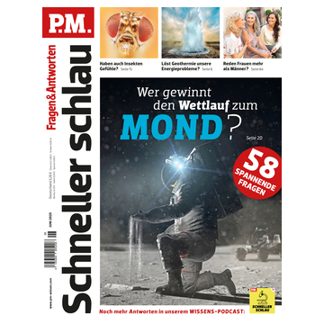 PM Schneller Schlau 2023/6