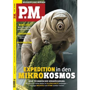 P.M. Probeabo