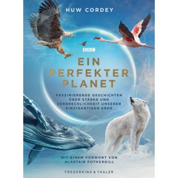 Ein perfekter Planet