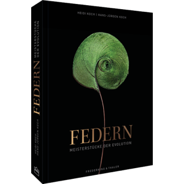 Federn
