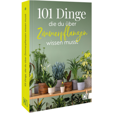 101 Dinge, die Du über Zimmerpflanzen wissen musst