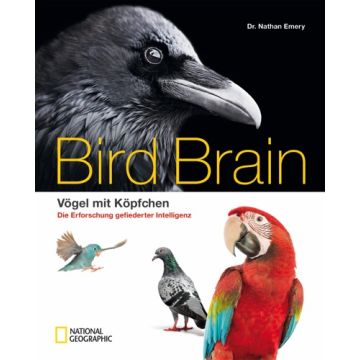 Bird Brain