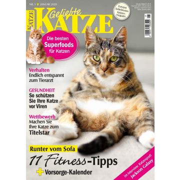Geliebte Katze 2020/01 - digital