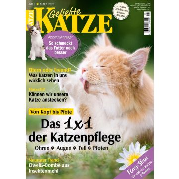 Geliebte Katze 2020/03 - digital