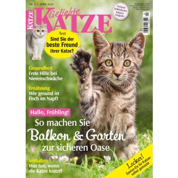 Geliebte Katze 2020/04 - digital