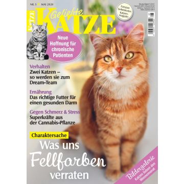 Geliebte Katze 2020/05 - digital