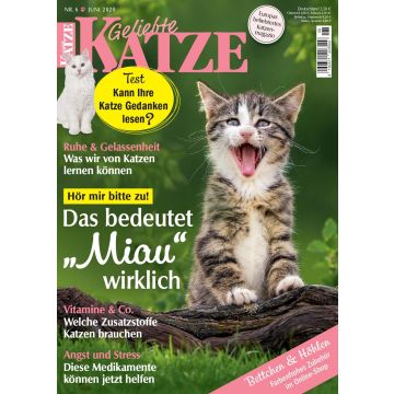 Geliebte Katze 2020/06 - digital