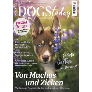 Dogs Today 3/2025