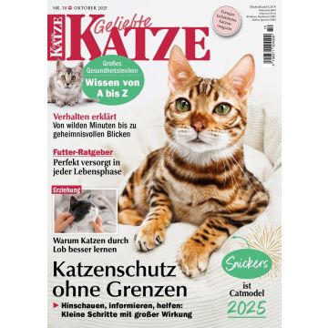 Geliebte Katze 10/2025