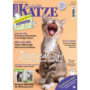 Geliebte Katze 3/2026