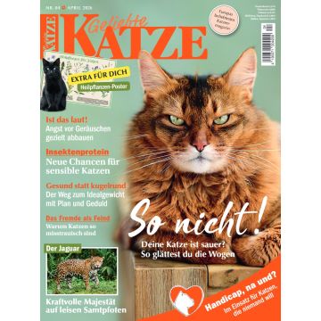 Geliebte Katze 4/2026