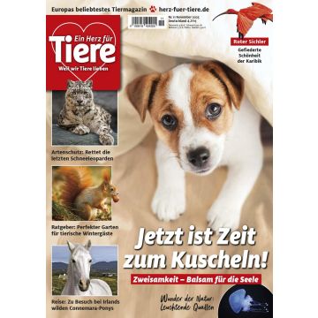 Ein Herz für Tiere 11/2025