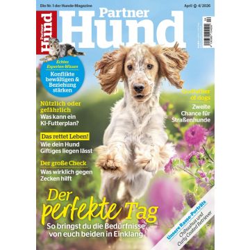 Partner Hund 4/2026