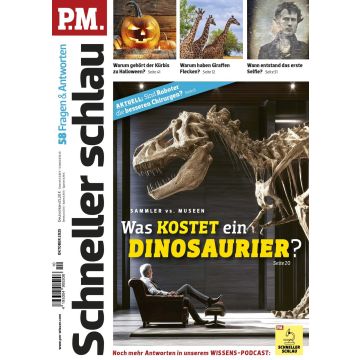 PM Schnell Schlau 10/2025