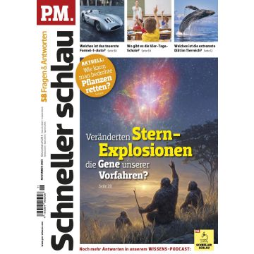 PM Schneller Schlau 11/2025