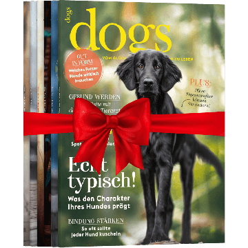 Dogs zum Verschenken