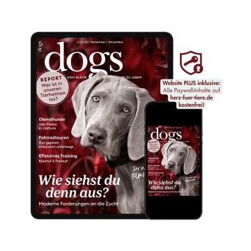 Dogs Testabo „Einstieg-Digital“ – E-Paper