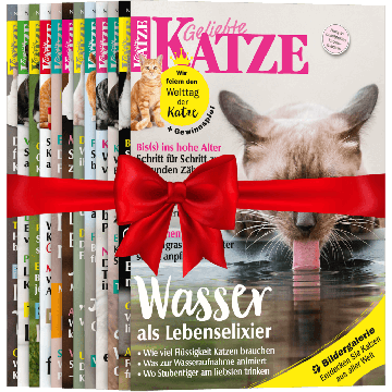 Geliebte Katze zum Verschenken