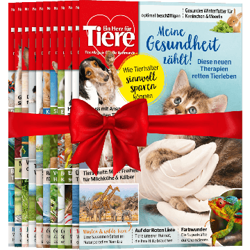 Ein Herz für Tiere zum Verschenken