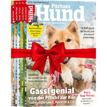 Partner Hund zum Verschenken