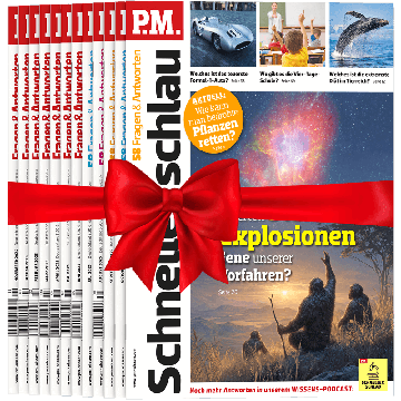 P.M. Schneller schlau zum Verschenken